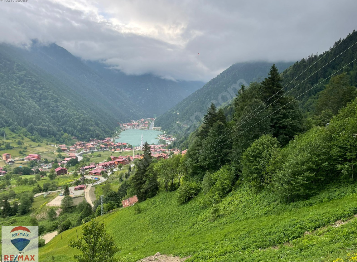 Trabzon / Çaykara / Uzungöl Mh.